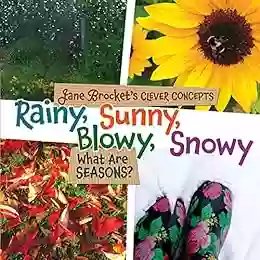 Rainy Sunny Blowy Snowy: What Are Seasons? (Jane Brocket S Clever Concepts)