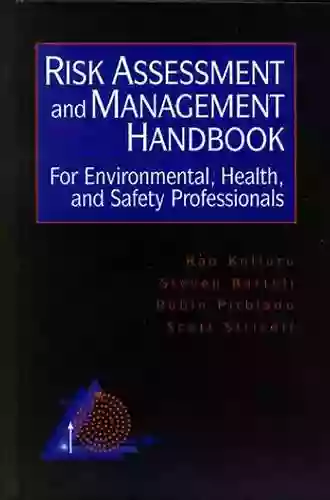 Global Risk Based Management Of Chemical Additives II: Risk Based Assessment And Management Strategies (The Handbook Of Environmental Chemistry 23)