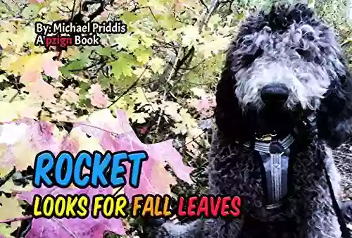 Rocket Looks For Fall Leaves: Hiking In The Fall