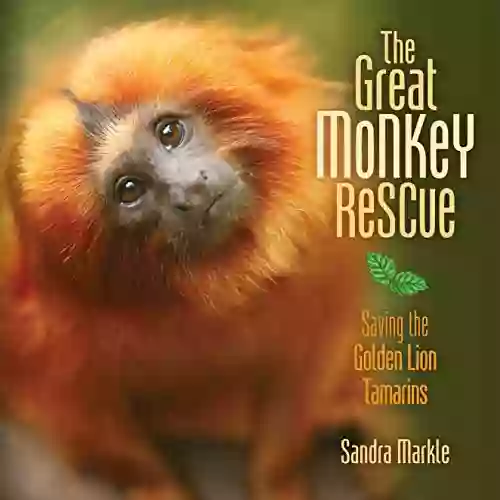 The Great Monkey Rescue: Saving The Golden Lion Tamarins (Sandra Markle S Science Discoveries)