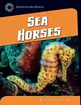 Sea Horses (21st Century Skills Library: Exploring Our Oceans)