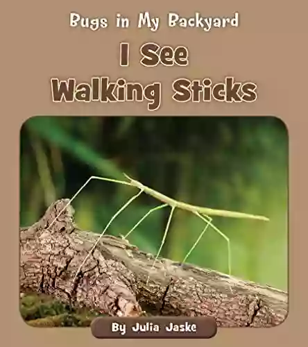 I See Walking Sticks (Bugs In My Backyard)