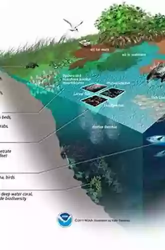 Shale Gas: Exploration And Environmental And Economic Impacts