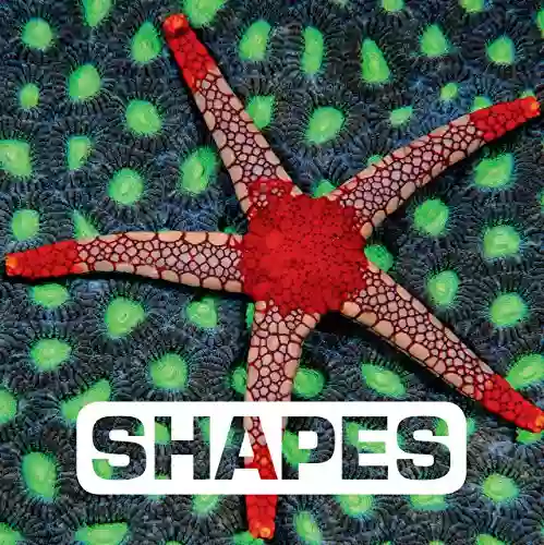 Shapes (Picture This) David Bowles