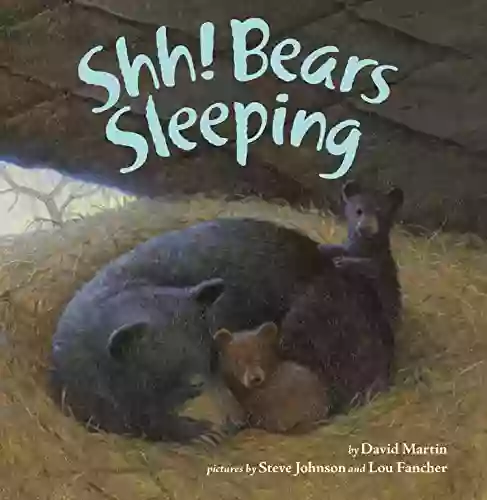 Shh Bears Sleeping Gladys Rosa Mendoza