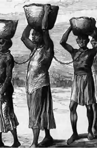 Slavery In South Africa: Captive Labor On The Dutch Frontier