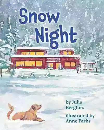 Snow Night Jay Goldman