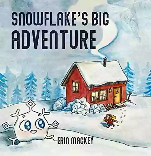 Snowflake S Big Adventure Erin Mackey