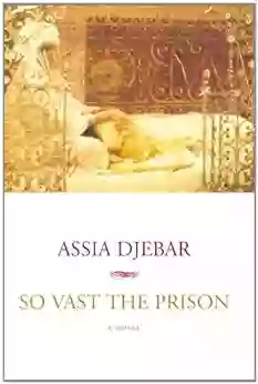 So Vast The Prison: A Novel