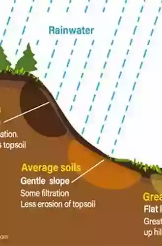 Soil Formation J Donald Rimstidt