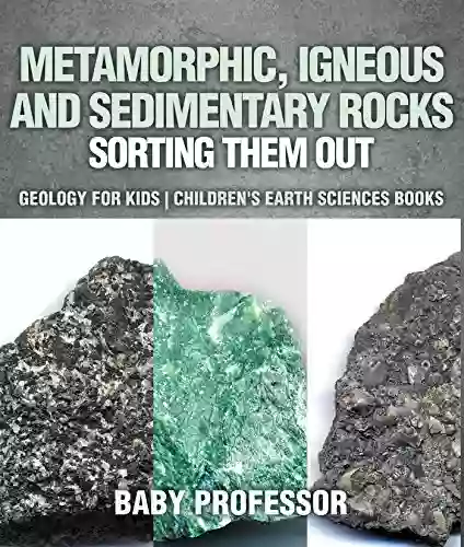 Metamorphic Igneous And Sedimentary Rocks : Sorting Them Out Geology For Kids Children S Earth Sciences