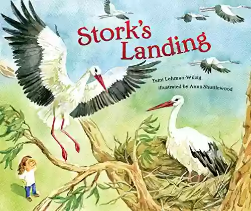 Stork S Landing Tami Lehman Wilzig