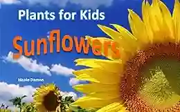 Plants for Kids: Sunflowers Children s Picture for kids Science and nature for 1st and 2nd graders: full size amazing photos and fun facts home schooling pre schooling kindergarten