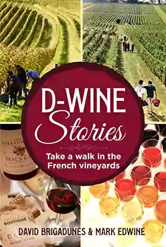 D Wine Stories: Take A Walk In The French Vineyards