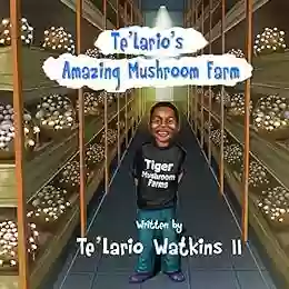 Te Lario S Amazing Mushroom Farm Matt Lombard