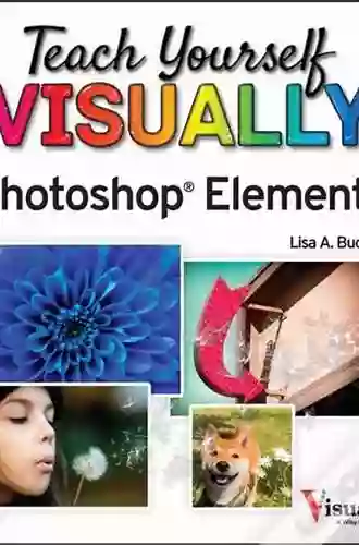 Teach Yourself VISUALLY Photoshop Elements 12 (Teach Yourself VISUALLY (Tech))