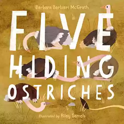 Five Hiding Ostriches Barbara Barbieri McGrath