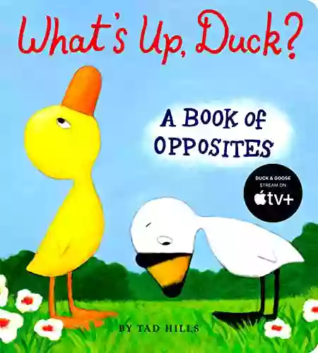 What s Up Duck?: A of Opposites (Duck Goose)