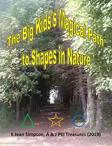 The Big Kid S Magical Path To Shapes In Nature (The Big Kid S Magical Path)