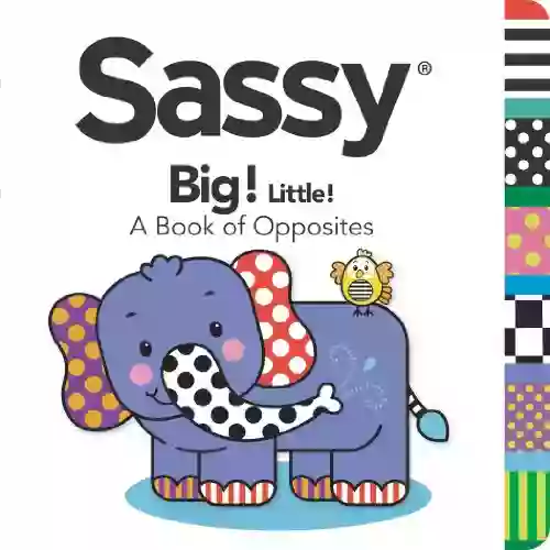 Big Little : A Of Opposites (Sassy)