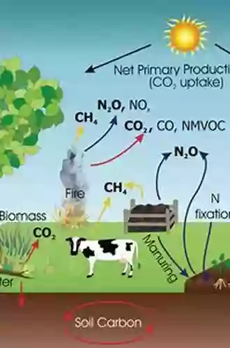 The Biochar Solution: Carbon Farming And Climate Change