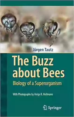 The Buzz About Bees: Biology Of A Superorganism