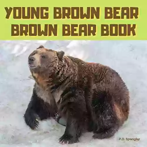 Young Brown Bear: Brown Bear