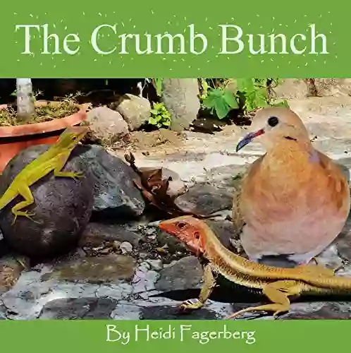 The Crumb Bunch Heidi Fagerberg