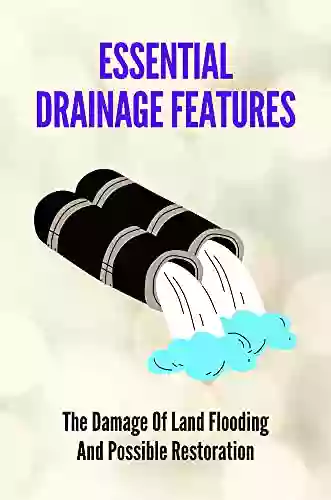 Essential Drainage Features: The Damage Of Land Flooding And Possible Restoration: Drainage Impacts