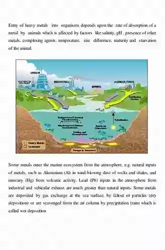 Dynamics And Bioavailability Of Heavy Metals In The Rootzone (Advances In Trace Elements In The Environment)