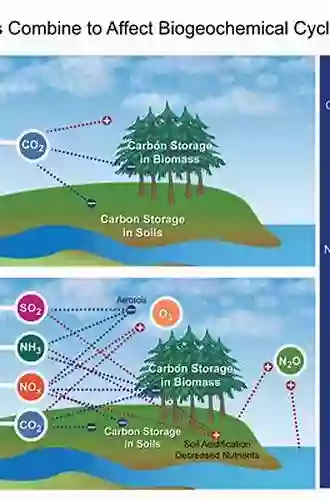 Biogeochemical Cycles And Climate Ann C Pizzorusso