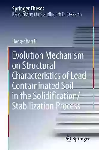 Evolution Mechanism On Structural Characteristics Of Lead Contaminated Soil In The Solidification/Stabilization Process (Springer Theses)