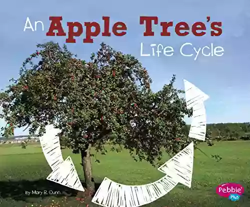 An Apple Tree s Life Cycle (Explore Life Cycles)