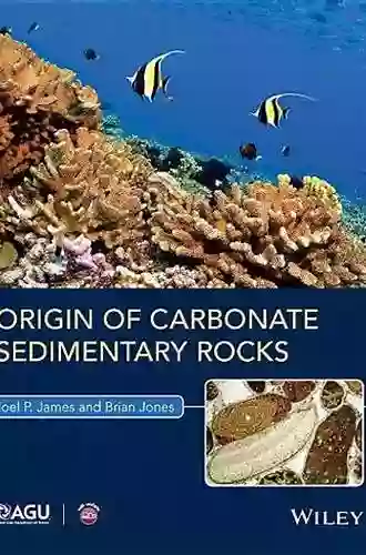 Origin Of Carbonate Sedimentary Rocks (Wiley Works)