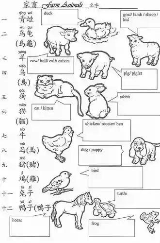 10: A Of Colors Animals (Beginner S Basic Language (Chinese))