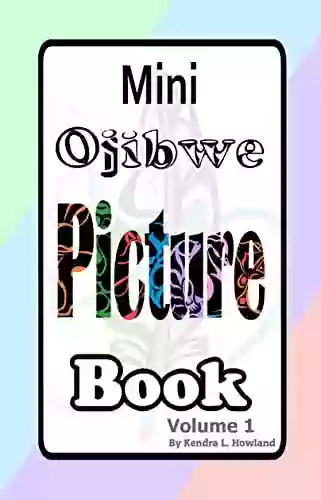 Ojibwe Mini Picture Vol 1: Ojibwe Words Picture V1