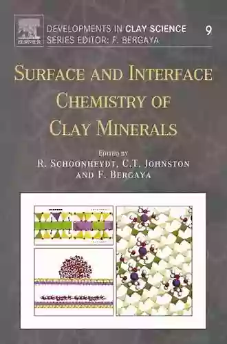 Surface And Interface Chemistry Of Clay Minerals (ISSN 9)