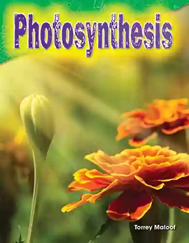 Photosynthesis (Science Readers: Content and Literacy)