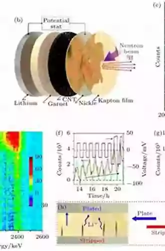 Deformation Processes In TRIP/TWIP Steels: In Situ Characterization Techniques (Springer In Materials Science 295)