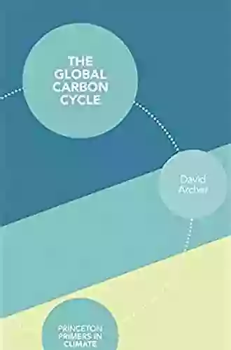 The Global Carbon Cycle (Princeton Primers in Climate 1)