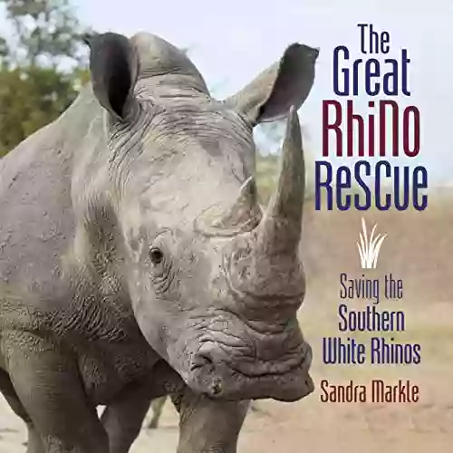 The Great Rhino Rescue: Saving the Southern White Rhinos (Sandra Markle s Science Discoveries)