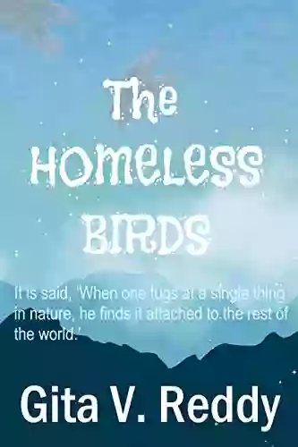 The Homeless Birds (Short Chapter For Ages 8 12)