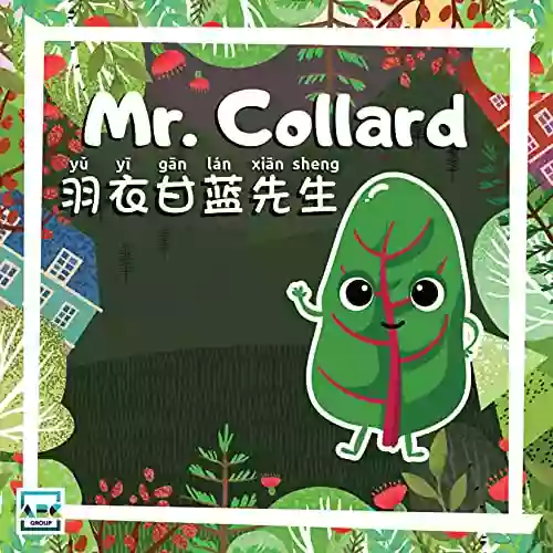 Mr Collard (Mr Vegetables) Margaret B Taiwo