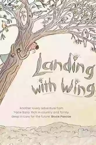 Landing With Wings Michael Dann