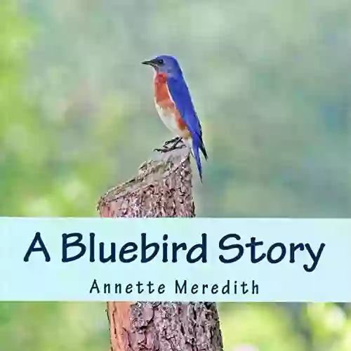 A Bluebird Story Annette Meredith