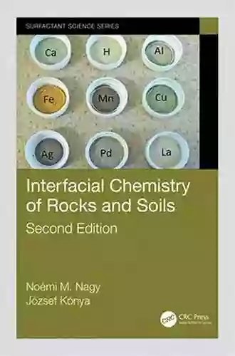 Interfacial Chemistry Of Rocks And Soils (Surfactant Science 148)