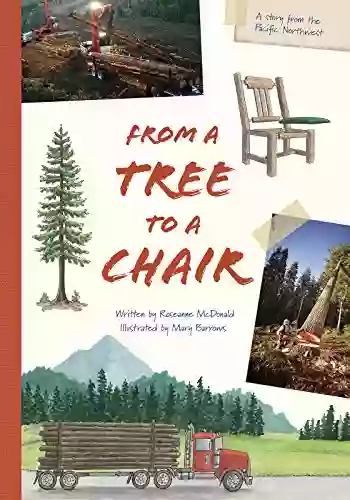 From A Tree To A Chair