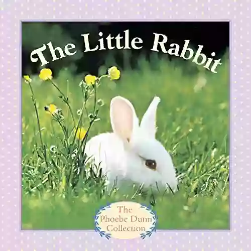 The Little Rabbit (Pictureback(R))