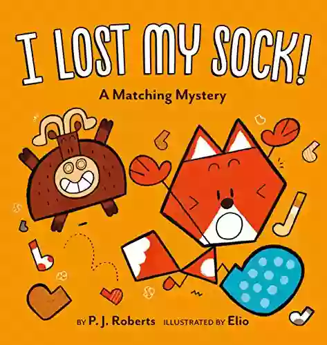 I Lost My Sock : A Matching Mystery