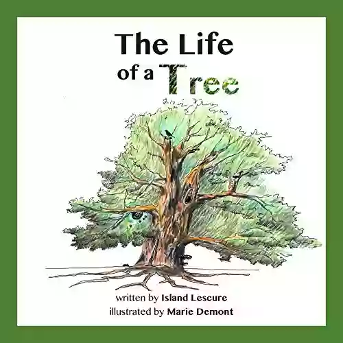 The Life Of A Tree